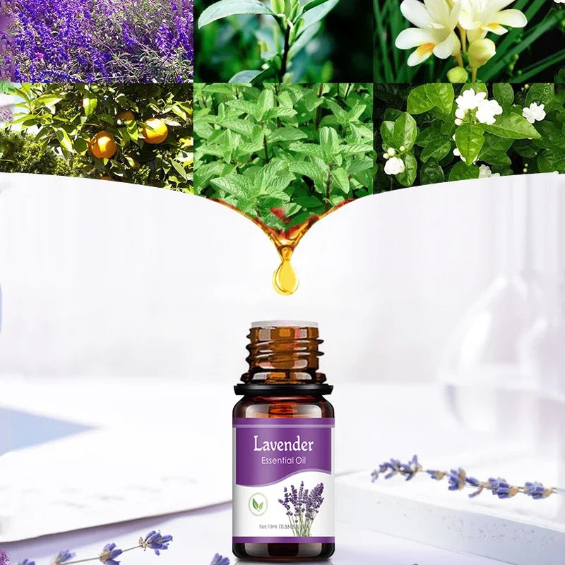 Plant Aromatherapy Oil for Diffuser Humidifier Household/Vehicles Air Freshener Fragrance/Essential Oil Car Interier Accessories