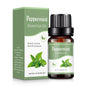 Plant Aromatherapy Oil for Diffuser Humidifier Household/Vehicles Air Freshener Fragrance/Essential Oil Car Interier Accessories