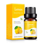 Plant Aromatherapy Oil for Diffuser Humidifier Household/Vehicles Air Freshener Fragrance/Essential Oil Car Interier Accessories